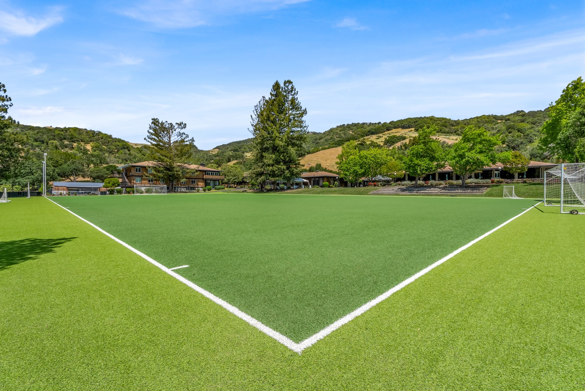 Sports Turf Field